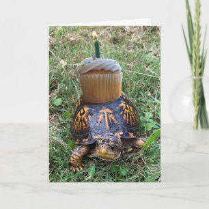 Funny Belated Birthday Card