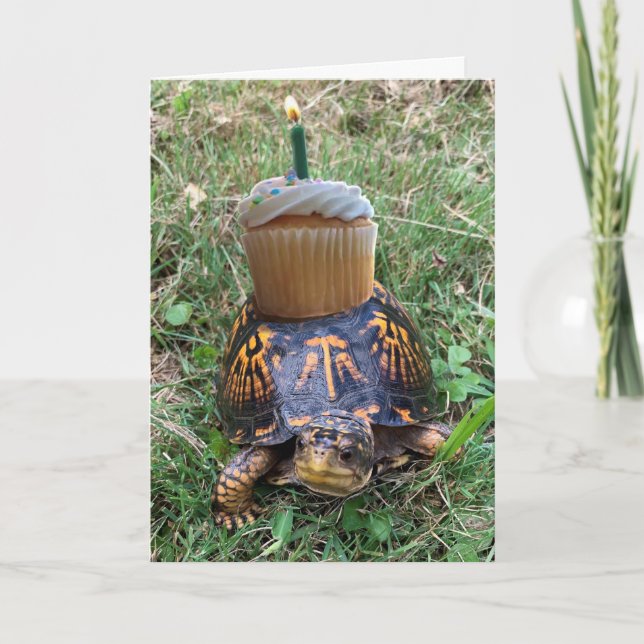 Funny Belated Birthday Card (Front)