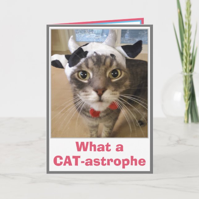 Funny Belated Birthday Card (Front)