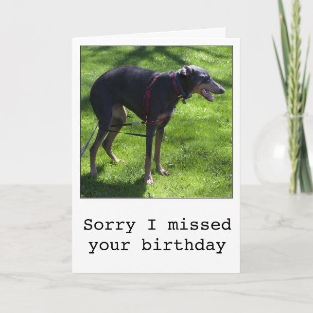 Funny belated birthday dog greeting card (Front)
