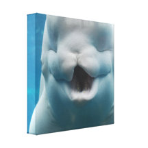 Funny Beluga Whale Canvas Print