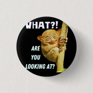 Funny Big Eyed Tarsier What Are You Looking At 1 Inch Round Button