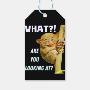 Funny Big Eyed Tarsier What Are You Looking At Gift Tags