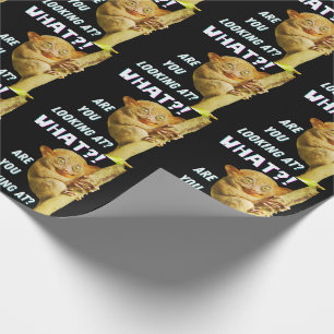 Funny Big Eyed Tarsier What Are You Looking At Wrapping Paper