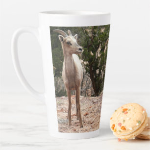Funny Bighorn Sheep at Zion National Park Latte Mug