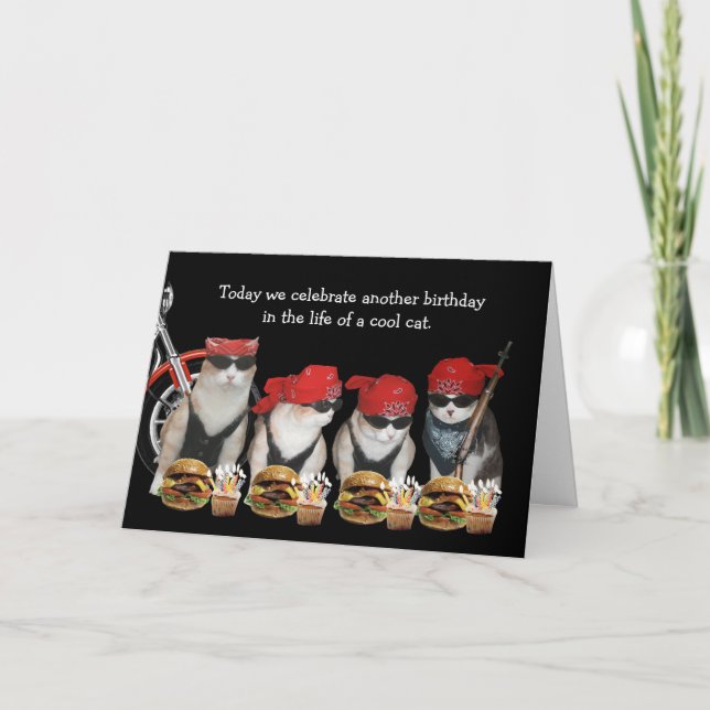 Funny Biker Cats carte d'anniversaire (Devant)