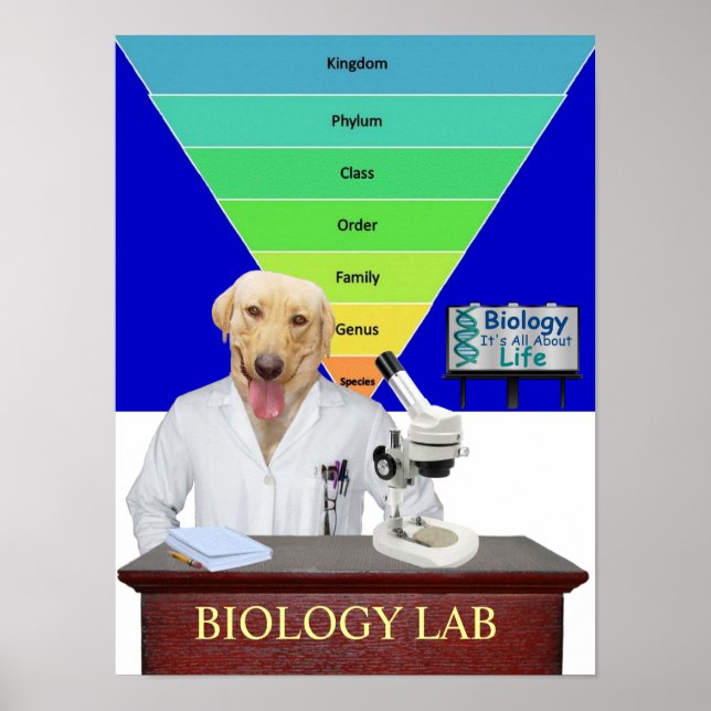 Funny Biology Lab Poster for Teachers (Front)