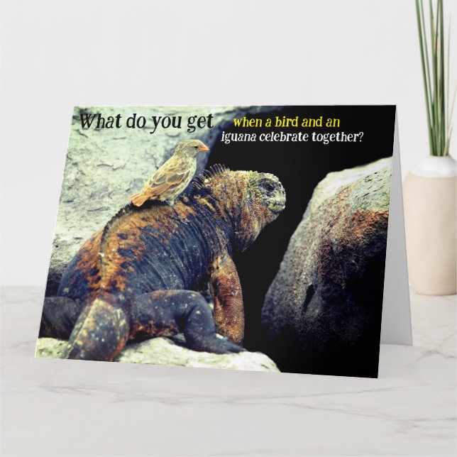 Funny Bird And Marine Iguana Birthday Card (Front)