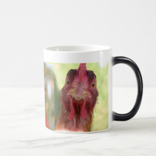 FUNNY BIRD MORPHING MUG