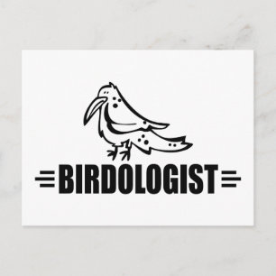 Funny Bird Postcard