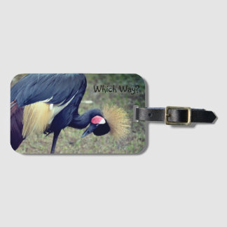 Funny Bird "Which Way?" Luggage Tag
