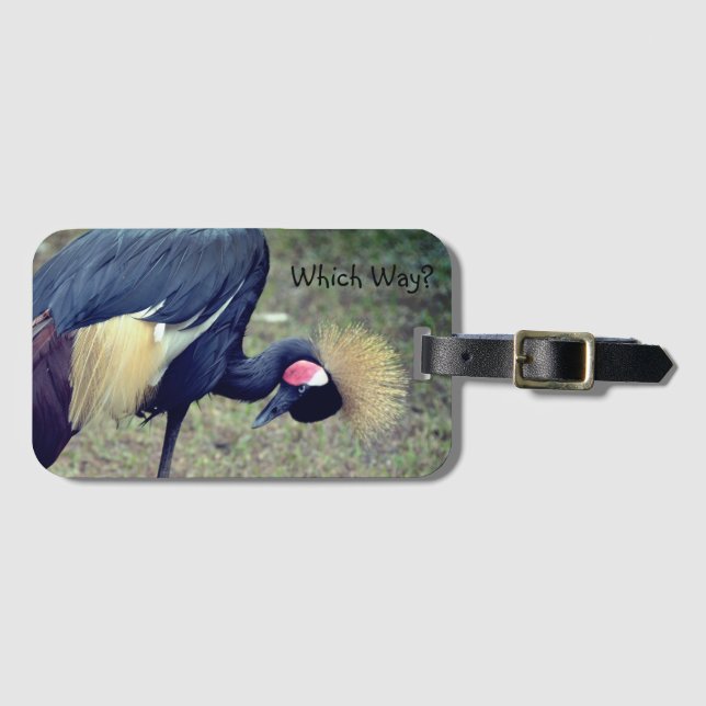Funny Bird "Which Way?" Luggage Tag (Front Horizontal)