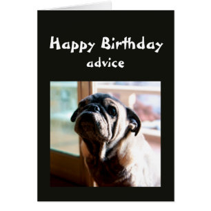 Funny Birthday Advice about Lighting from Pug Dog