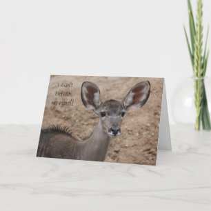funny birthday antelope, can't believe my ears! card