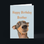 Funny Birthday Brother Shocked Dog Animal Humour Card<br><div class="desc">Have so much fun on your Birthday that your pet gets worried.  Happy Birthday for Brother with humourous verse inside and shocked looking dog</div>