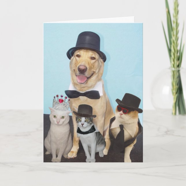 Funny Birthday Card (Front)