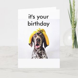 Funny Birthday card