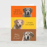 Funny Birthday Card<br><div class="desc">Funny birthday card with golden retrievers on it. This card is customizable with your personalized message and/or name.</div>