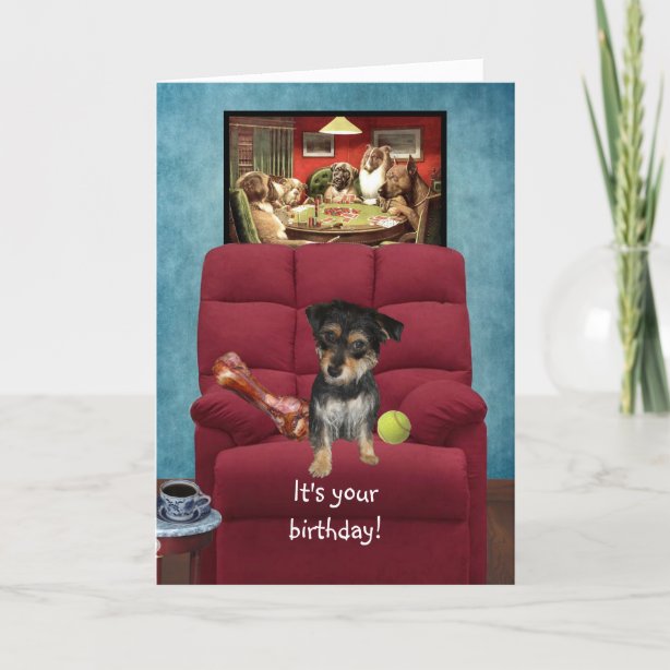 Funny Dog Picture Cards, Greeting Cards &amp; More | Zazzle CA