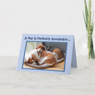 Funny Birthday Card w/Cute Napping Basset Hounds