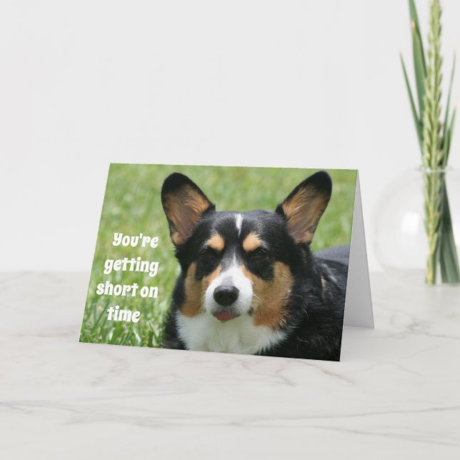 Funny Birthday Card Welsh Corgi (Front)