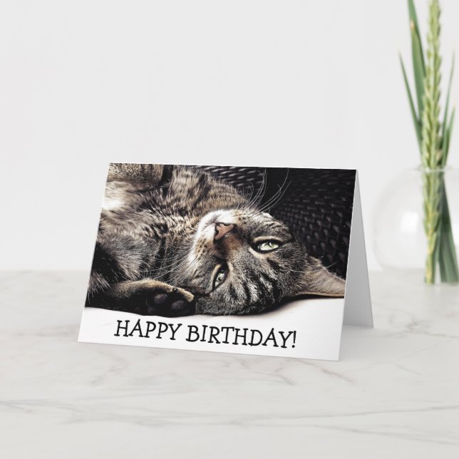 Funny birthday card with cat - ready to play! (Front)