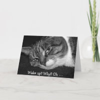 Funny Birthday Card with Cat: Wake up? Why?