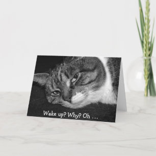 Funny Birthday Card with Cat: Wake up? Why?