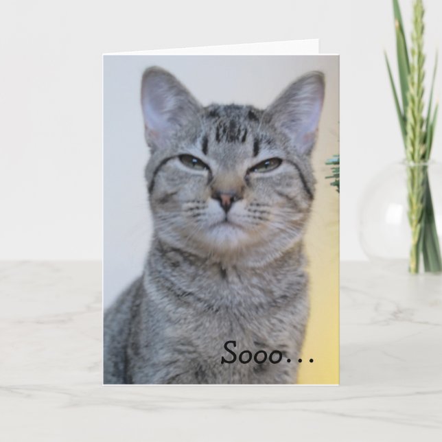 Funny Birthday Card with suspicious Cat (Front)