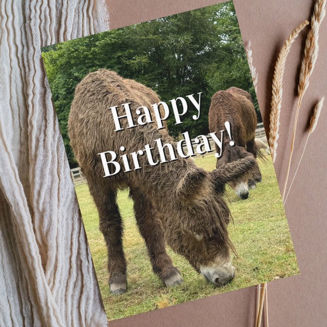 Funny Birthday Donkey Farm Animal Cute Barnyard  Card (Creator Uploaded)