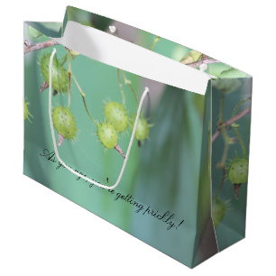 Funny Birthday Gift-Bag Large Gift Bag