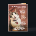 Funny Birthday Greeting From A Cat To A Teenager Card<br><div class="desc">Cute photo of a cat that talks like a teenager. Like how awesome is that? Umm... yeah,  like,  you know... cool.</div>