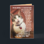 Funny Birthday Greeting From A Cat To A Teenager Card<br><div class="desc">Cute photo of a cat that talks like a teenager. Like how awesome is that? Umm... yeah, like, you know... cool.</div>