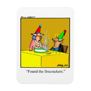 Funny Birthday Humour Magnet Gift