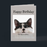 Funny Birthday Old Age Over the Hill, Cat Humour Card<br><div class="desc">Old age is when it takes longer to get over a good time than to have it.  Fun Cat Birthday Humour.</div>