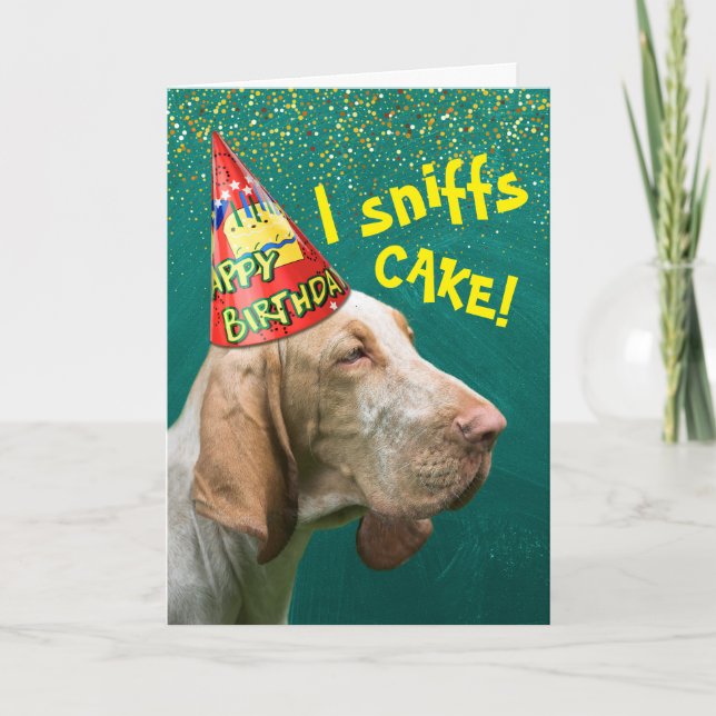 Funny Birthday Sniffs Hound Wearing Party Hat Card (Front)
