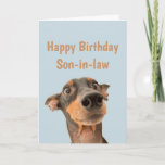 Funny Birthday Son-in-law Shocked Dog Animal Card<br><div class="desc">Have so much fun on your Birthday that your pet gets worried.  Happy Birthday for Son-in-law with humourous verse inside and shocked looking dog</div>