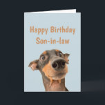 Funny Birthday Son-in-law Shocked Dog Animal Card<br><div class="desc">Have so much fun on your Birthday that your pet gets worried.  Happy Birthday for Son-in-law with humourous verse inside and shocked looking dog</div>