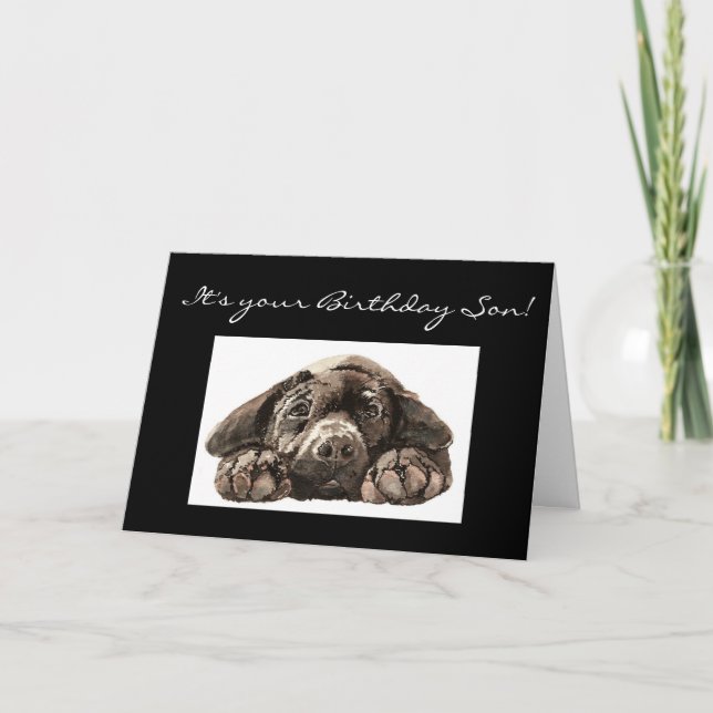 Funny Birthday Son, Labrador Retriever Card (Front)