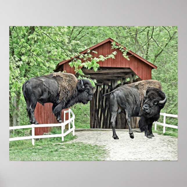 Funny Bison At The Covered Bridge Poster (Front)
