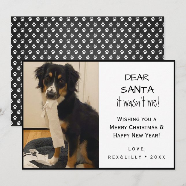 Funny Black and White Pet Paw Print Dog Holiday Card (Front/Back)