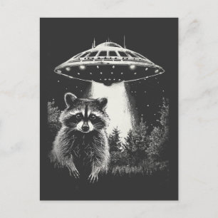 Funny Black and White Space Raccoon UFO  Postcard