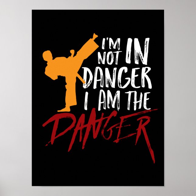 Funny Black Belt Fighter Martial Arts Humour Poster (Front)