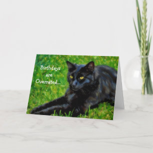 Funny Black Cat Old Oldie Birthday Card Cat Lover