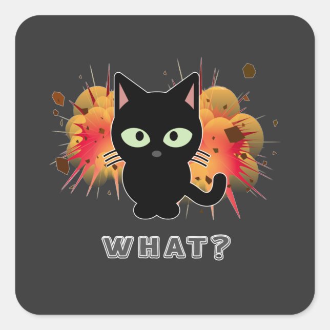 Funny Black Cat What Cute Kitten Lovers Pet Humor  Square Sticker (Front)
