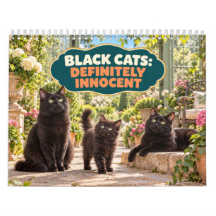 Funny Black Cats Definitely Innocent Calendar