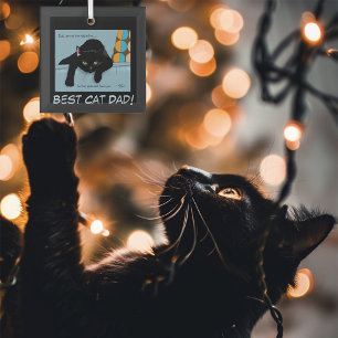 Funny Black Cute Best Cat Dad Father’s Day Glass Ornament