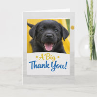 Funny Black Lab Puppy Thank You Card Adorable Dog