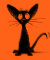 Funny Black Oriental Cat