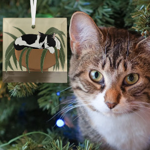 Funny Black White Tuxedo Cat Sleeping Houseplant Glass Ornament